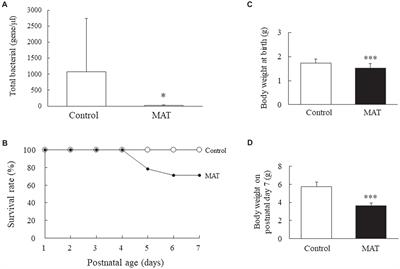 Maternal Antibiotic Treatment Disrupts the Intestinal Microbiota and Intestinal Development in Neonatal Mice